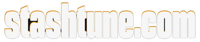Logo Stashtune